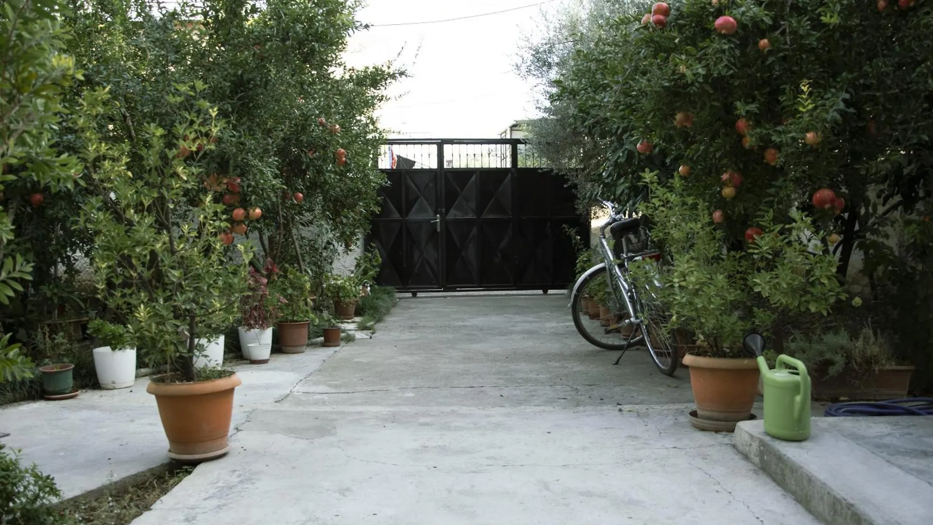 Old Olive Apartment Tirana Albania